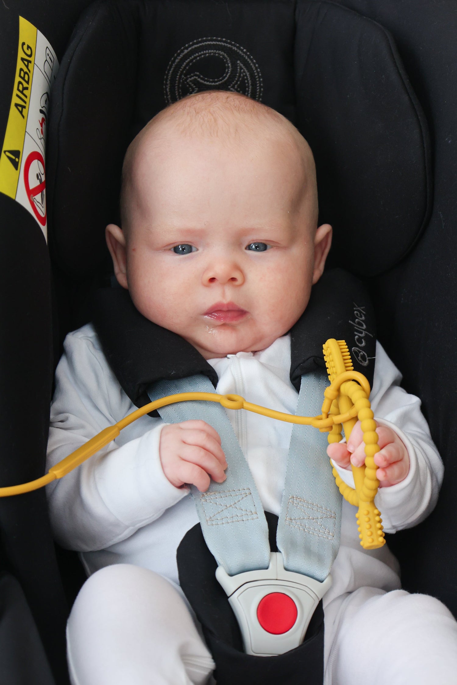 Best for Babies (0–18 months)