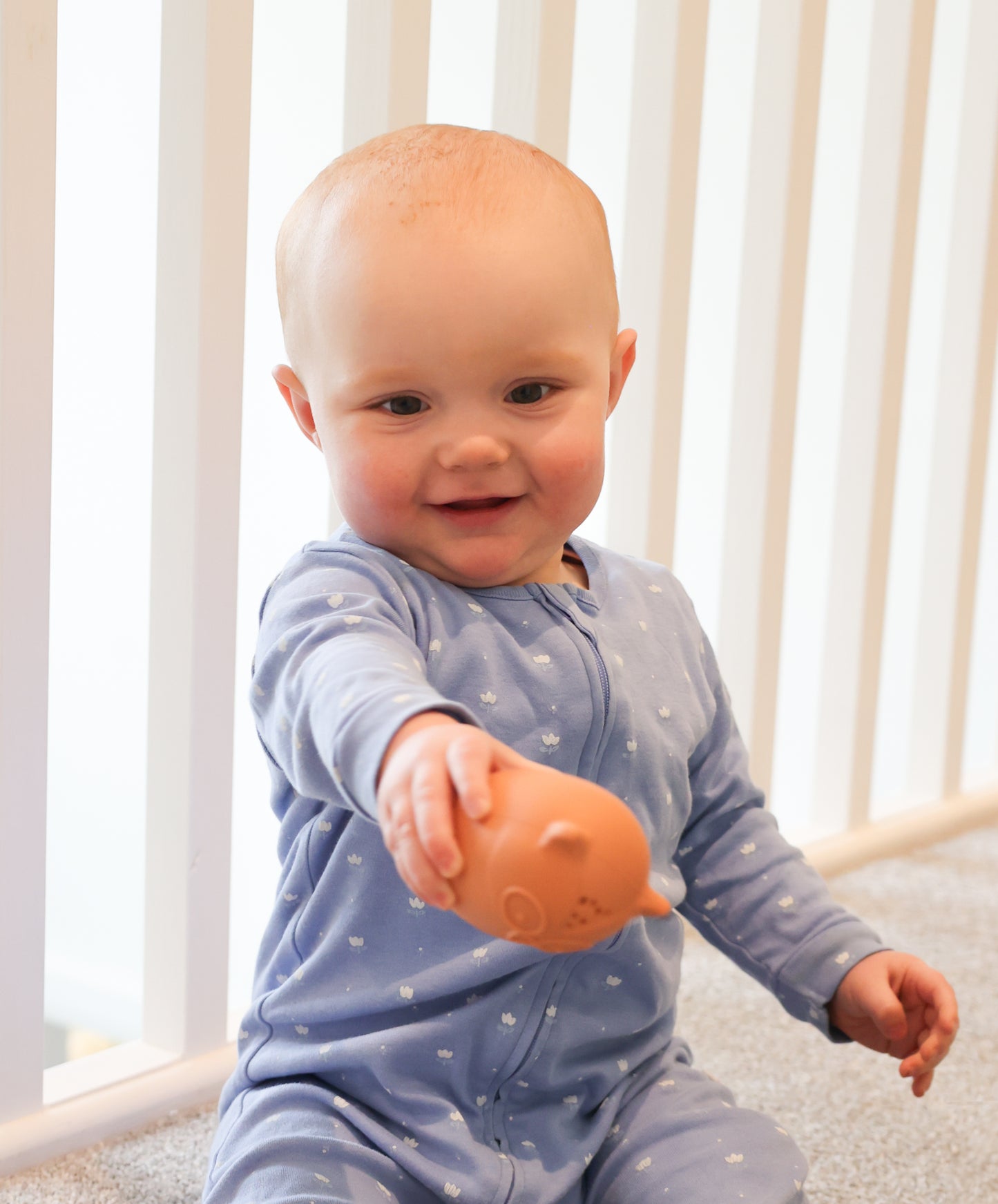 Silicone Animal Bath Toys